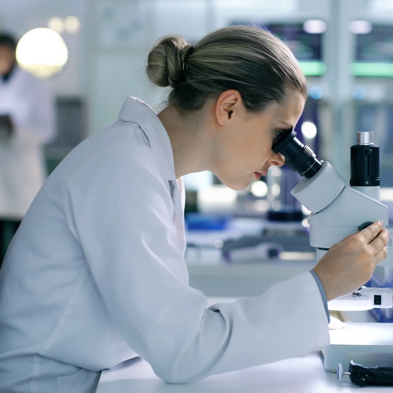 AIHA-accredited laboratory scientist analyzing mold samples for a Venice FL inspection report